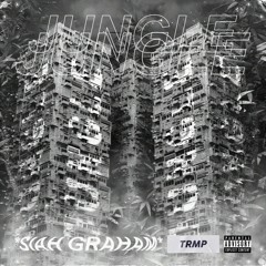 Jungle (prod. 808Melo)