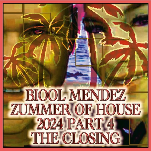 DJ BIOOL - ZUMMER OF HOUSE 2024 part 4 (the closing)