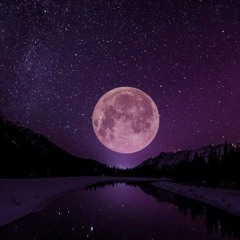 A dreamy night.mp3