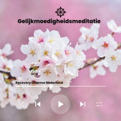 Gelijkmoedigheidsmeditatie (Recovery Dharma NL)