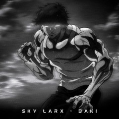 SKY LARX - Baki