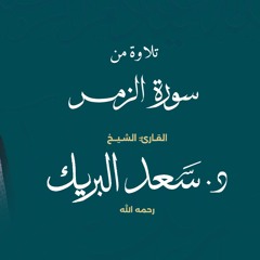 تلاوة من سورة الزمر