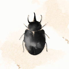 Subterræa