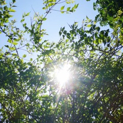 Solarium, volume one