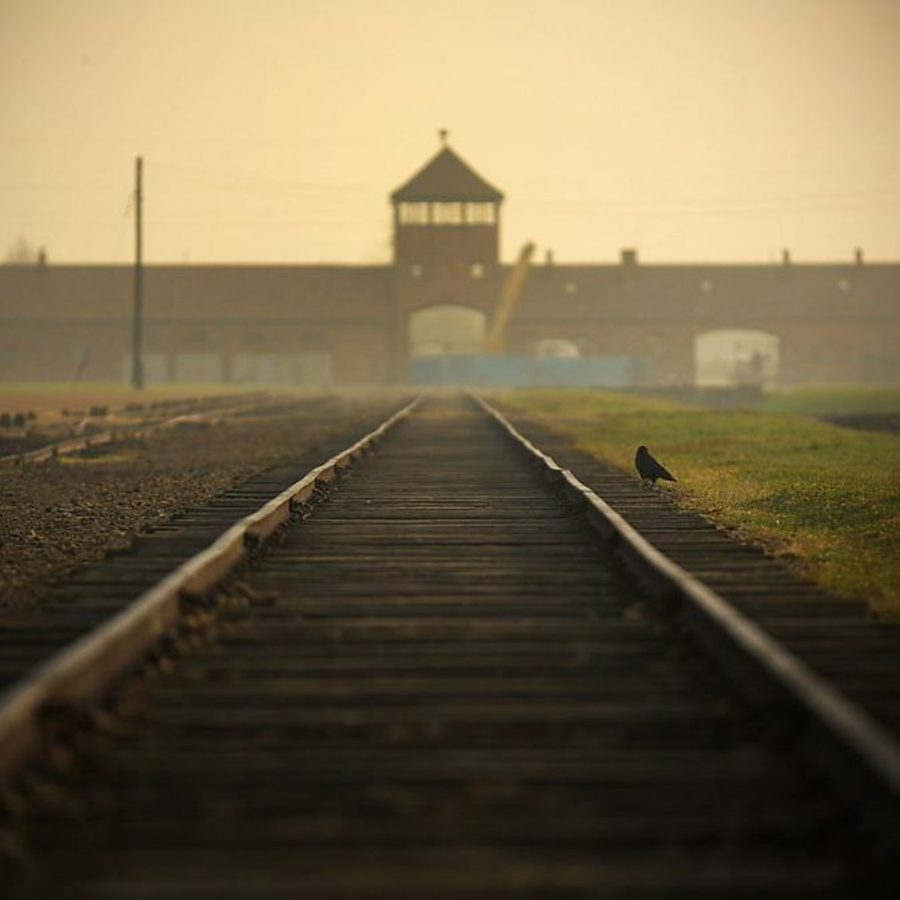 #168 Shoah (1985), de Claude Lanzmann