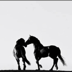 من عذابي .. تحسب اني .. طروب