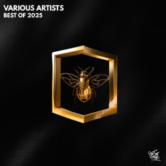 Alex Rozz - Type of Funk  (Original Mix)