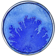 System D LIVE at Rhythm Toronto Oct 2025