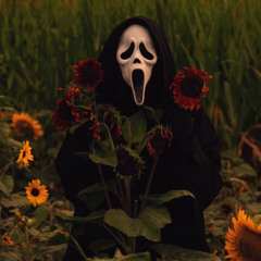 Slasher
