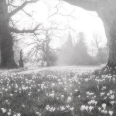 I remember you were always telling me about your friends but i never saw them visit