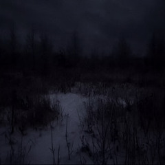 Are you laughing in the night??