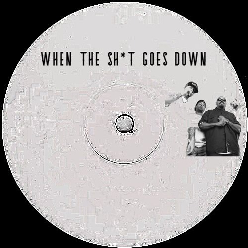 WHEN THE SH*T GOES DOWN