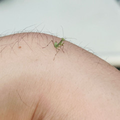 Do Not Call The Doctor w/ Te Doare & Shameless Promoter - 3rd of March 2025