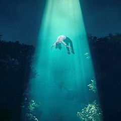 Falling Up