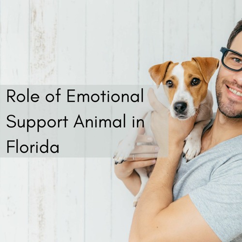 Stream Role Of Emotional Support Animal in Florida by Jouicy lara