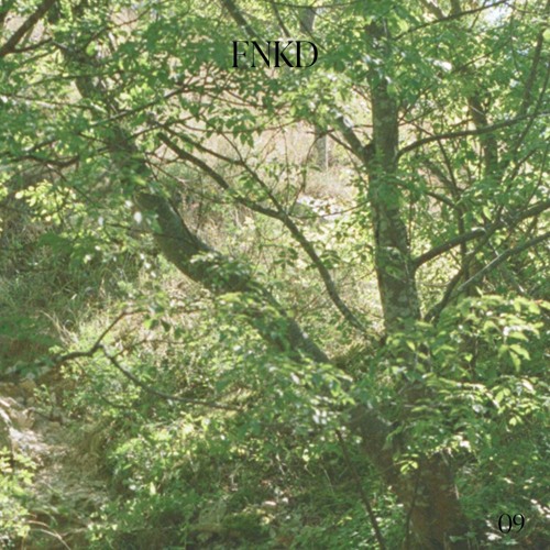 kinetic mix 09: FNKD "good tunes wrong tempo"