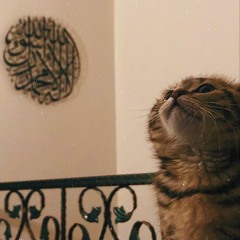 rahnatun lil alameen (sped up) maher zain_qom7KeyLPDQ.mp3