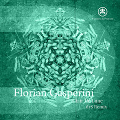 Florian Gasperini - Clair De Lune (drS Remix) [Voodoo & Prayers]