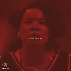 WAM BAM XII