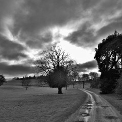 Go Your Own Way [Fleetwood Mac]