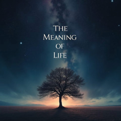 The meaning of life