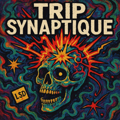 Trip Synaptique