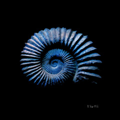 Bulah - Permian (Original Mix) [TRM373]