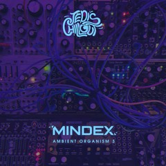 Jedi’s Chillout | Mindex (live) • Ambient Organism 3