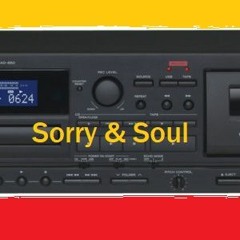 Sorry & Soul   ----------------  SamplerRemix