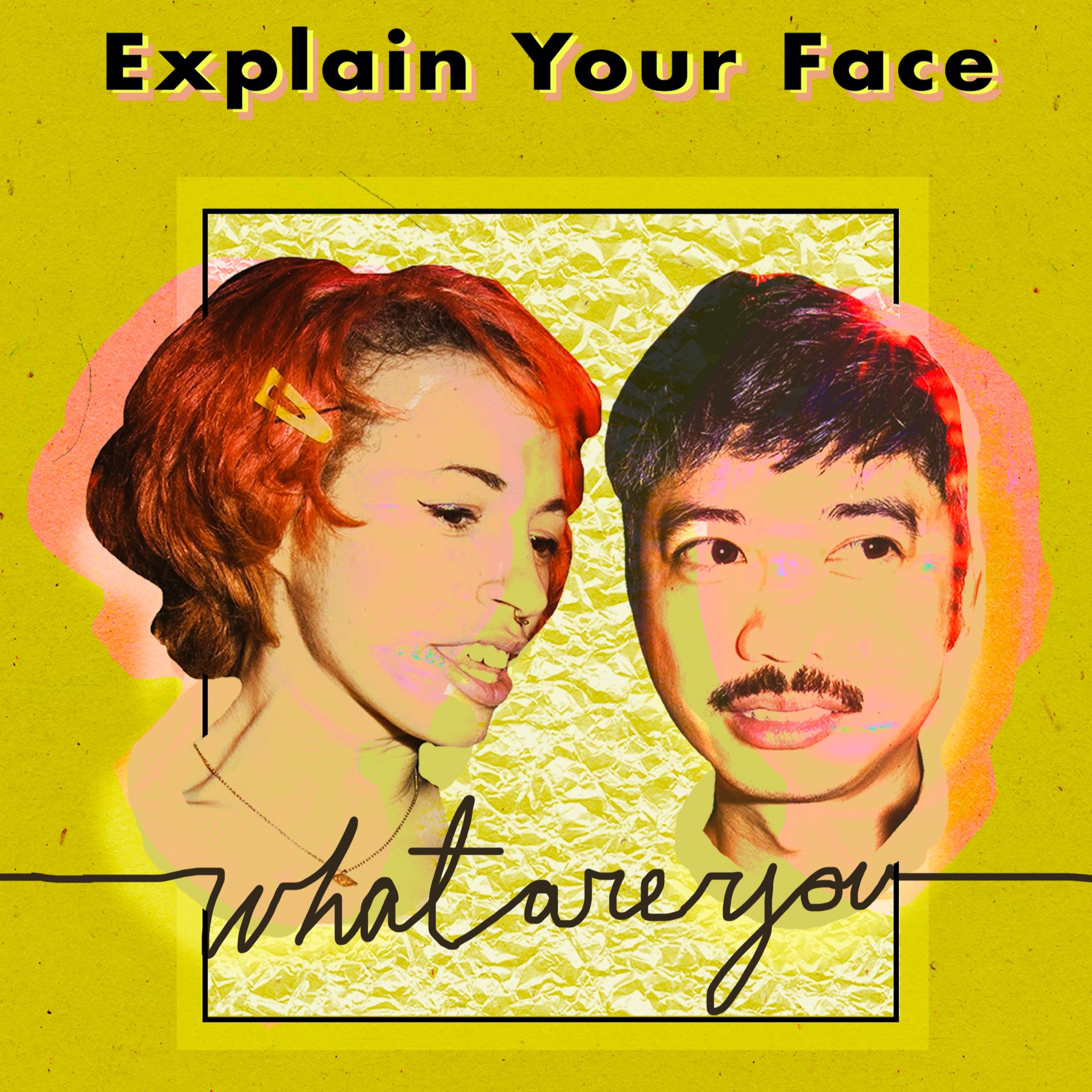 Explain Your Face