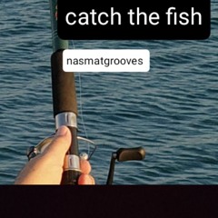 catch the fish