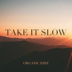 Michael Lane - Take It Slow (Organic Edit)