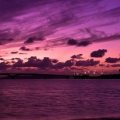 Purple in the end [boemer symbiosis] | labfortyone