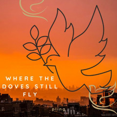 Where the doves still fly
