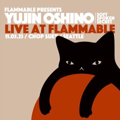 YUJIN OSHINO /// Live at Flammable /// 11. 05. 2023