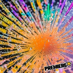 PREMIERE: DauM - You Like My [FREE DL]