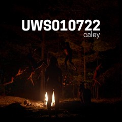 Live on ultrawizardsword.net (01-07-22)