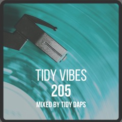 Tidy Vibes 205