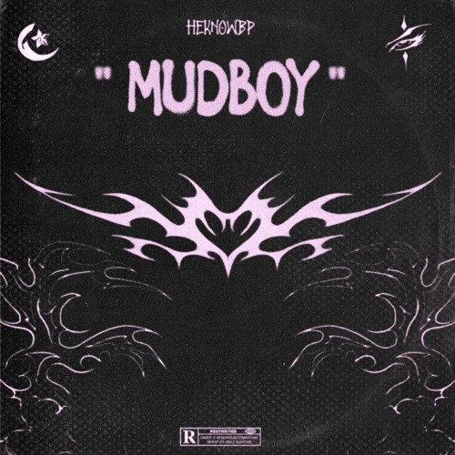 Mudboy [residentevie]