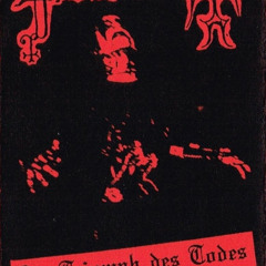 Grausamkeit - 2018 - Der Triumph Des Todes [Demo] - VI