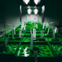 Grow Room Vinyl Panels Create A Favorable Environment For Cannabis Harvest