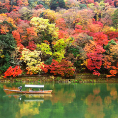 Kyoto's Hozugawa River_ An Autumn Boat Ride