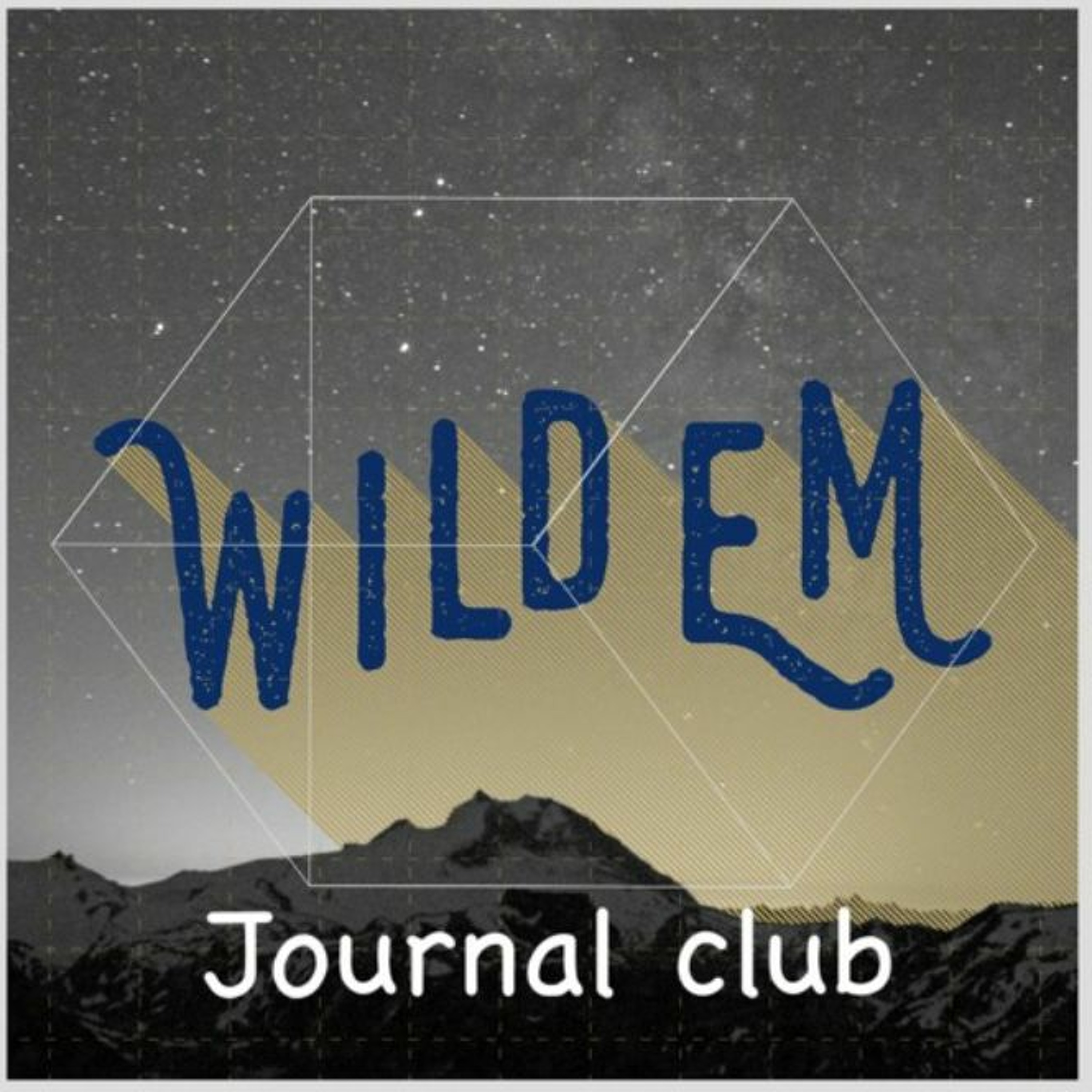 Artwork for WildEM the Wilderness Medicine Podcast