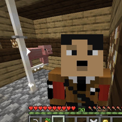 Fixies - where is my mind sped up