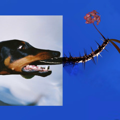Overmono x Flume (BBY x Hyperreal-hylite remix) Jaxon Edit