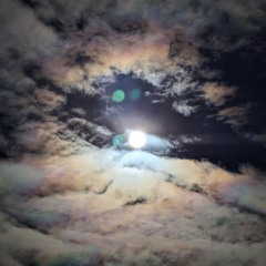 Conditional Love(feat. Possum Girl)