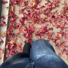 whatever u like (cancrelove)