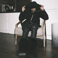 goosebumps ( 2onefour+tizsii)