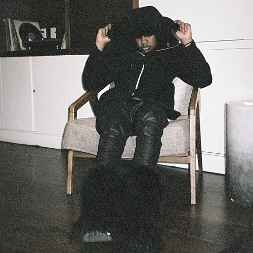 goosebumps ( 2onefour+tizsii)