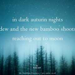 In Dark Autumn Nights  (Naviarhaiku 511)